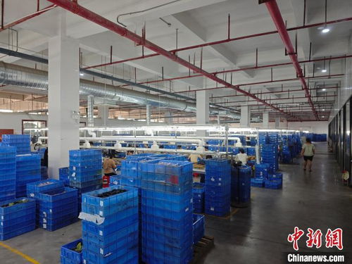 港資企業在贛扎根，與江西發展同頻共振，一路繁花技術開發