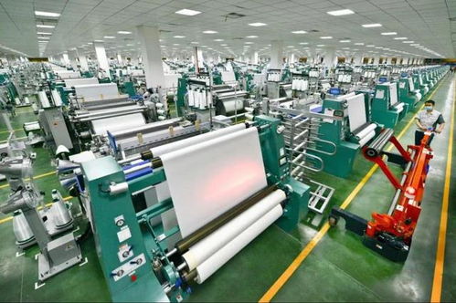 潛力無限 嘉興25家企業入圍省級技術開發榜單，創新力量引關注