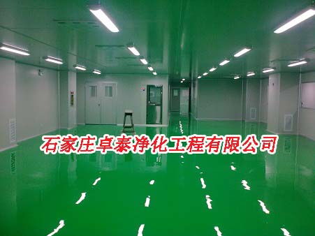河北一站式潔凈凈化車(chē)間設(shè)計(jì)裝修 技術(shù)驅(qū)動(dòng)與視覺(jué)呈現(xiàn)